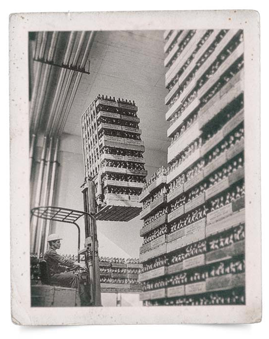 Ein Staplerfahrer hebt eine hohe Palette mit Flaschen in einem Lager.